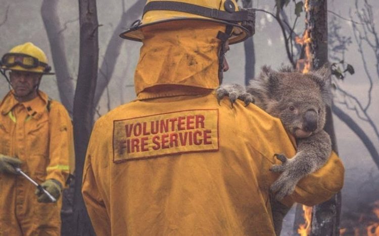 オーストラリア森林火災