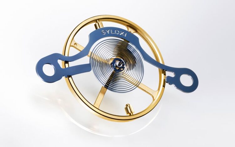 シロキシヒゲゼンマイ